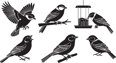 Various small birds perched and flying near a feeder in silhouette style © SDR