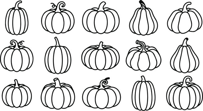 Black line drawings of 14 different pumpkins on white background