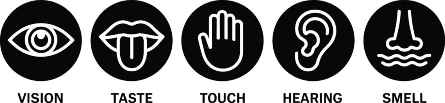 Human senses icon set, eye, ear, nose, lips, hand icons, sensory perception, anatomy, medical education, healthcare, body awareness symbols