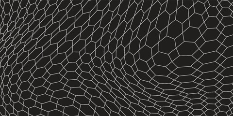 Abstract Black and White Irregular Polygon Mesh Background with Distorted Geometric Wireframe Pattern © andre