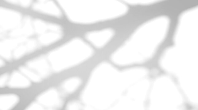 Thick bare crossing tree branch abstract dark shadow overlay on a transparent background