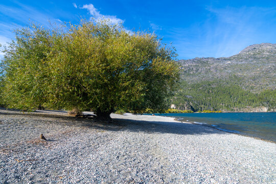View of Lago Puelo at Lago Puelo National Park - Lago Puelo, Chubut, Argentina