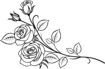 Fototapeta premium Black and white line drawing of roses and leaves