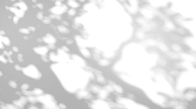 Dense blurred foliage canopy dappled sunlight soft shadow overlay on a transparent background