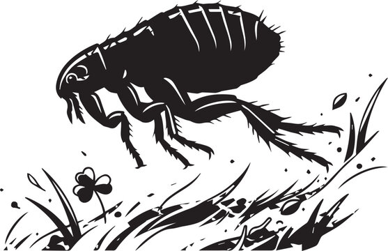 Flea crawling on grass with flower, black silhouette