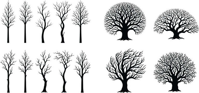 Collection of bare winter tree silhouettes with detailed leafless branches isolated on white background