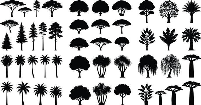 Comprehensive collection of black tree silhouettes including palm pine acacia and baobab isolated on white background