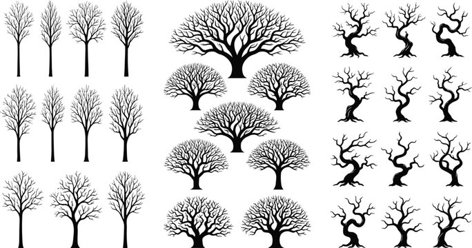 Collection of winter dead tree silhouettes with detailed bare leafless branches isolated on white background