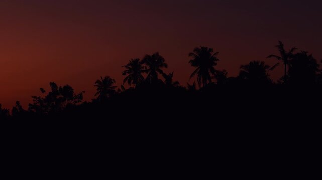 Silhouetted Palm Trees Against Vibrant Orange Twilight Sky During Tropical Sunset in Slow Motion