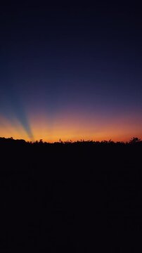 Vertical video. Wide Tropical Sunset Landscape With Radiant Sun Rays and Silhouetted Trees Under Deep Blue Evening Sky in Slow Motion