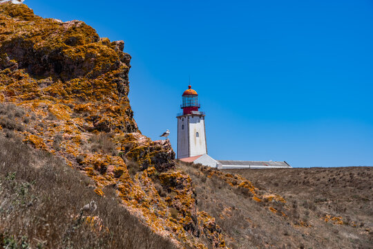taking a day ferry trip to Berlunga Island, Portugal