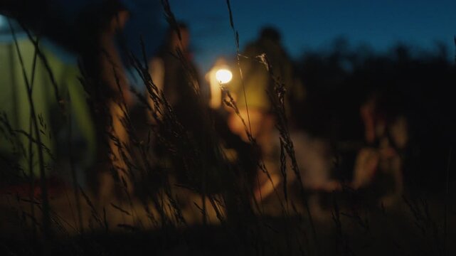 Group of men gather round the camp fire in the campground during the night