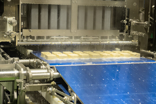Automated cutting machine processing soy tofu cheese blocks on a blue conveyor belt