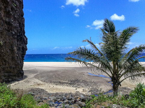 View of the ocean on Kalalau Beach, Kauai, with palm tree, sand, and cliffs