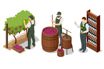 Fototapeta premium Isometric wine industry set with vineyard harvest, fermentation barrel and shop assistant near bottle shelf. Winery illustration combines production, retail, tasting and farm to market concept