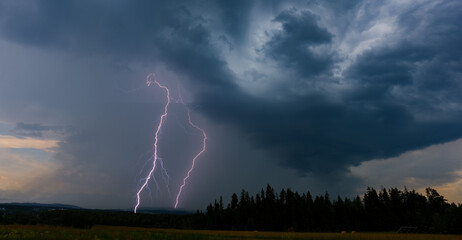 Powerful forked lightning strike illuminating dramatic storm clouds behind a forest tree line © FotoBastek