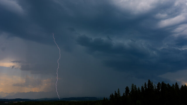 Distant lightning bolt striking the ground from dark storm clouds over a pine forest silhouette