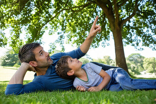 Pai e filho deitados na grama sob a sombra de uma &aacute;rvore em um parque ensolarado - Conceito de relaxamento, tempo de qualidade e conversa entre pai e filho.