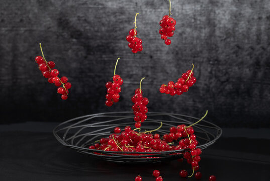 Fresh red currants are lying in a metal basket. The background is dark. More currants are falling into the basket from above.