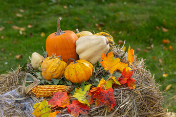 Autumn festival display showing pumpkins, gourds, and hay bale © Richard Semik
