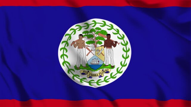 National Flag of Belize Waving in the Wind Seamless Loop Close Up Background