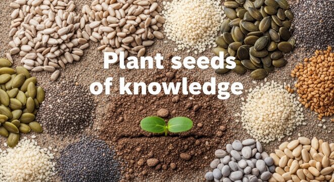 Flat lay arrangement of divers seeds and seedling