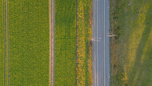 Aerial view of a railway track running parallel to a green agricultural field in the countryside of Crans, Vaud, Switzerland.
