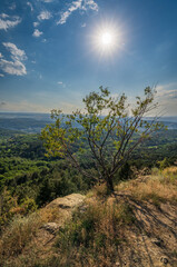 Fototapeta premium View of the mountains and Kislovodsk from the observation decks of the Kislovodsk Park. Evening sunset over the mountains of Kislovodsk.