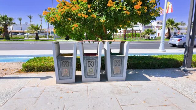 Outdoor recycling bins beneath a yellow flowering tree in Sharm El Sheikh Egypt with tropical landscaping resort buildings and eco friendly waste separation in sunny surroundings