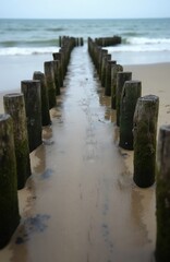 Fototapeta premium Weathered wooden posts form a path into the sea. Sand beach with water reflections. Cloudy sky over calm ocean waves. Coastal structures show signs of age and erosion.