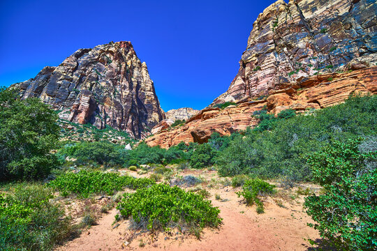 Red Rock Canyon Cliffs and Desert Vegetation Under Bright Blue Sky