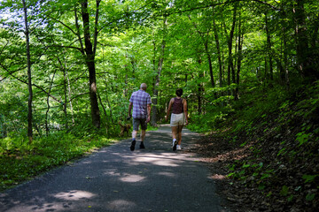 Fototapeta premium Un couple et un chien dans un sentier boisé, Québec, Canada.