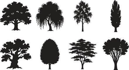 Fototapeta premium Collection of Tree Silhouettes Vector Set Isolated Nature and Forest Elements