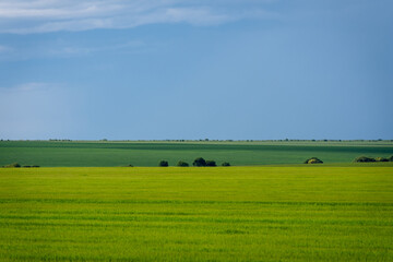 Naklejka premium Storm clouds gathering over a wide green field, creating a dramatic natural landscape