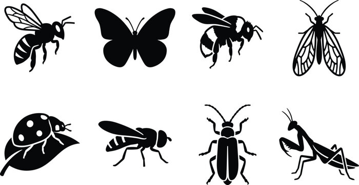 Set of black insect silhouettes including butterfly, bee, ladybug, and mantis for nature design projects