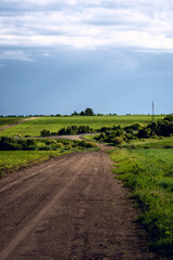 Fototapeta premium Dirt road winding through lush green fields under a partly cloudy rural sky
