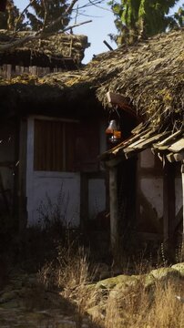 A thatched roof cottage stands under clear blue sky. A lantern hangs near the entrance while dry grass surrounds the building. The scene captures a rustic setting in nature.