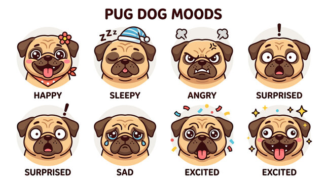 Cute Pug Dog Emotions Collection: Happy, Sleepy, Angry, Surprised, Sad, Excited