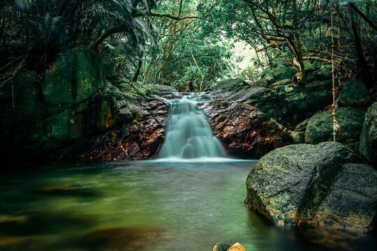 waterfall in the forest
