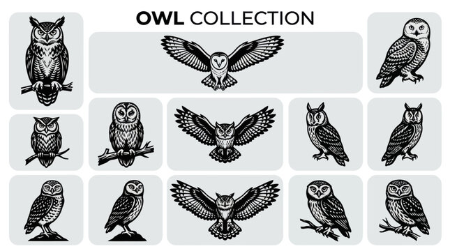 A monochrome flat vector icon set of 9 detailed owl silhouettes with round heads, large eyes, layered chest feathers, sharp claws, broad wings, perched and flight poses, intricate feather patterns