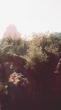 Light filters through the leaves in a dense forest. Plants and trees surround a rocky area. It is daytime and the sun casts warm light on the greenery.