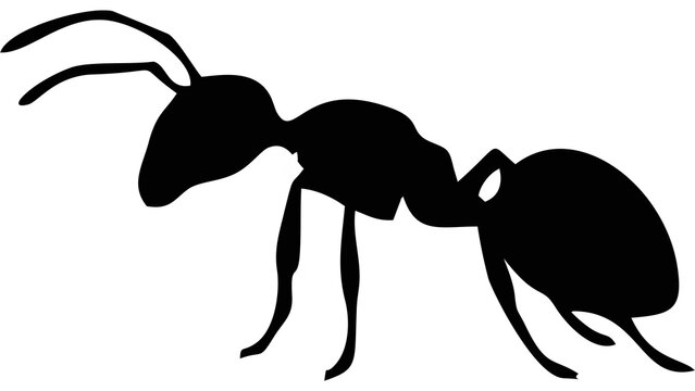 Black silhouette of a small ant insect isolated on transparent background for nature and biology design projects