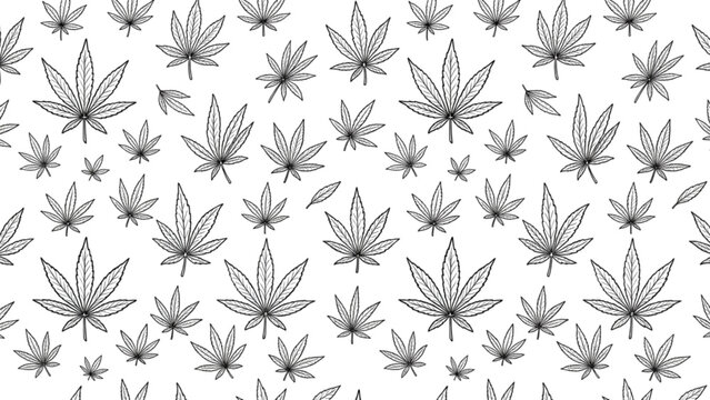 Cannabis leaf seamless pattern featuring black line art marijuana foliage on white background for wrapping paper textile fabric vector