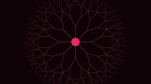Pink fractal tree network animation: abstract geometric growth pattern on dark 4k background