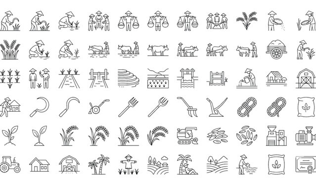 Traditional Asian rice farming and agriculture line icons set for paddy cultivation harvest worker tools machinery organic crop cereal vectors