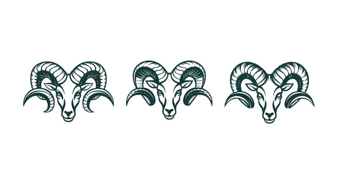 Three Ram Heads Silhouette Design.