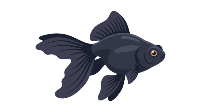 Illustration of a graceful black moor goldfish isolated on white