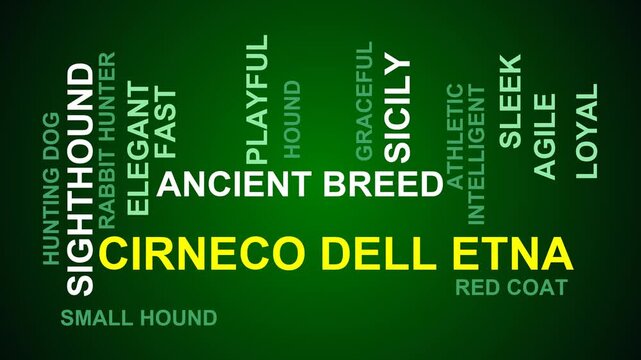Cirneco Dell Etna Word Cloud