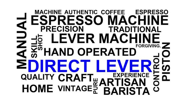Direct Lever Word Cloud