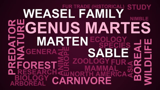 Genus Martes Word Cloud